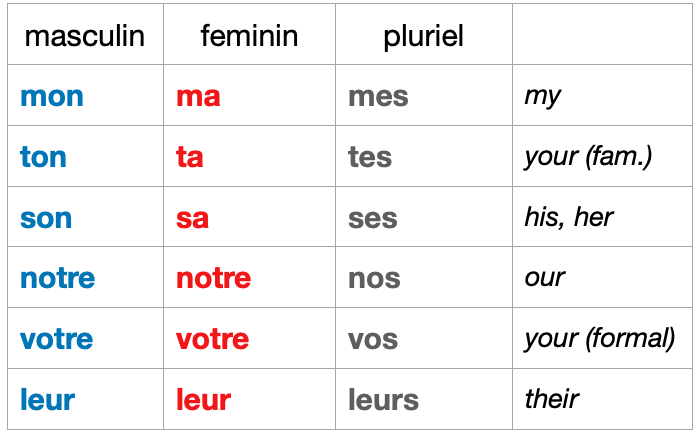 Possessive Adjectives – Introduction to French Level I