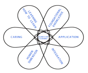 Fink's taxonomy graphic