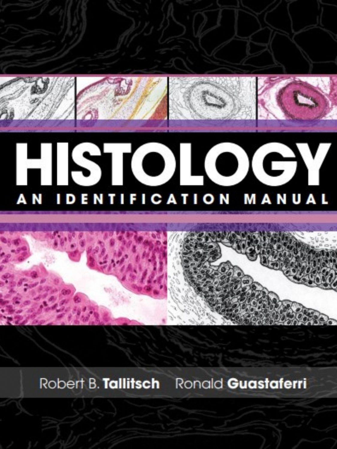 Cover image for Histology: An Identification Manual