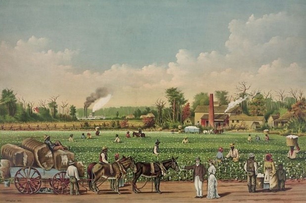 Cotton Plantation on the Mississippi 1884