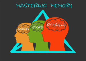 Mastering Memory: Encode, store, retrieve