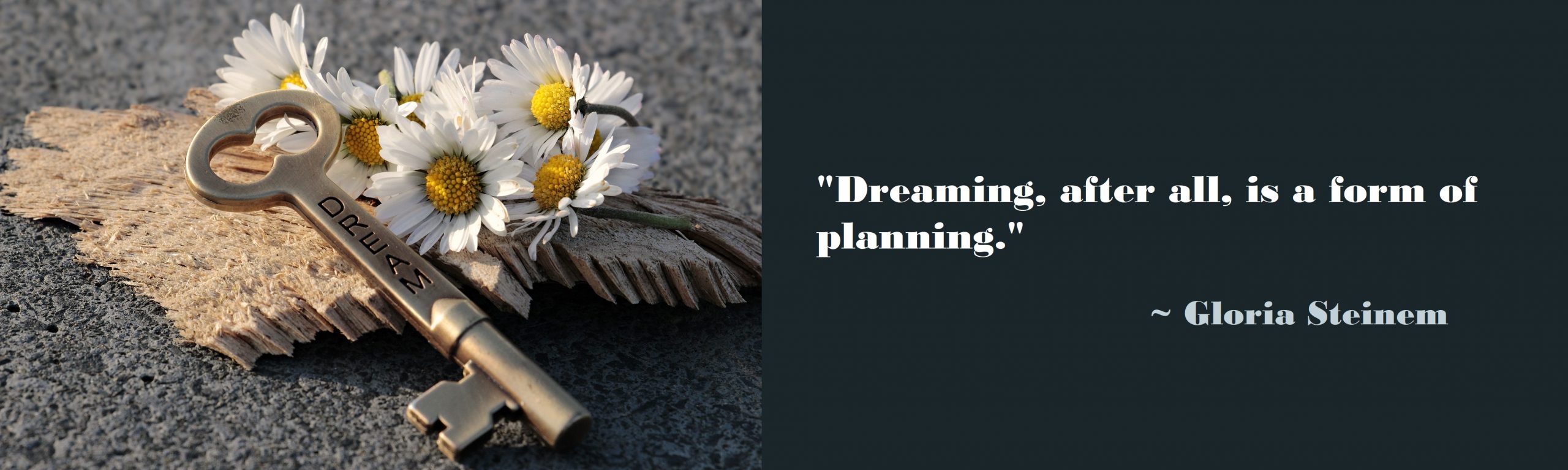 Dreaming, after all, is a form of planning. Gloria Steinem