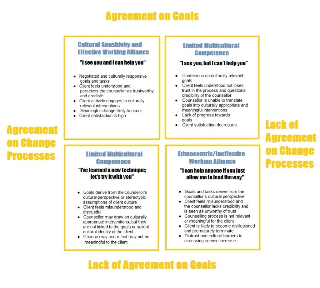 cc14-case-conceptualization-culturally-responsive-and-socially-just