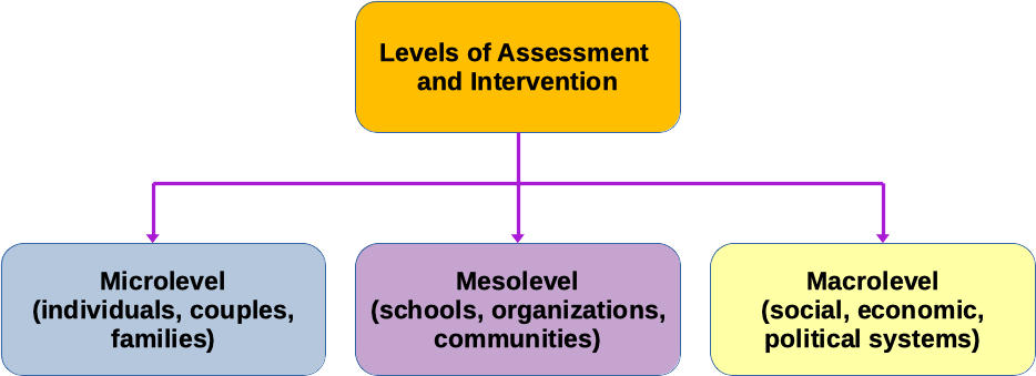 The diagram has a single text box at the top labelled, levels of assessment and intervention. On the second level below it is lined to three text boxes: (a) microlevel interventions that focus on individuals, couples, and families; (b) mesolevel interventions that attend to schools, organizations, and communities, and (c) macrolevel interventions that focus on social, economic, and political systems.