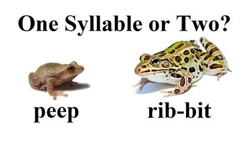 The image shows two frogs. The small frog has "peep" written under it. The large frog has "rib-bit" written under it. The title of the image is "One Syllable or Two?"