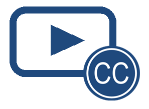 Video captions