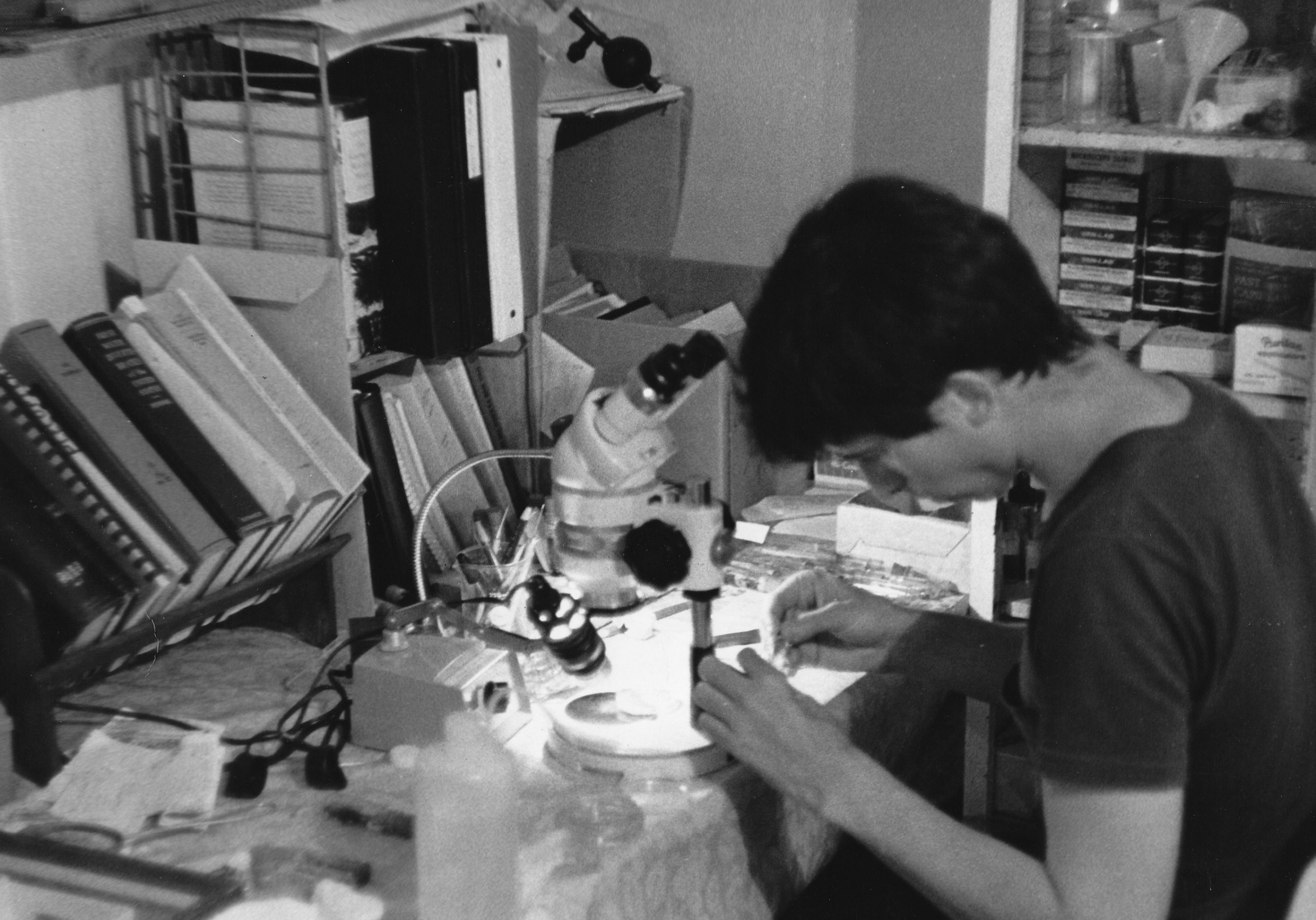 Sandy, entomology student, studies mayflies under dissecting binocular microscope