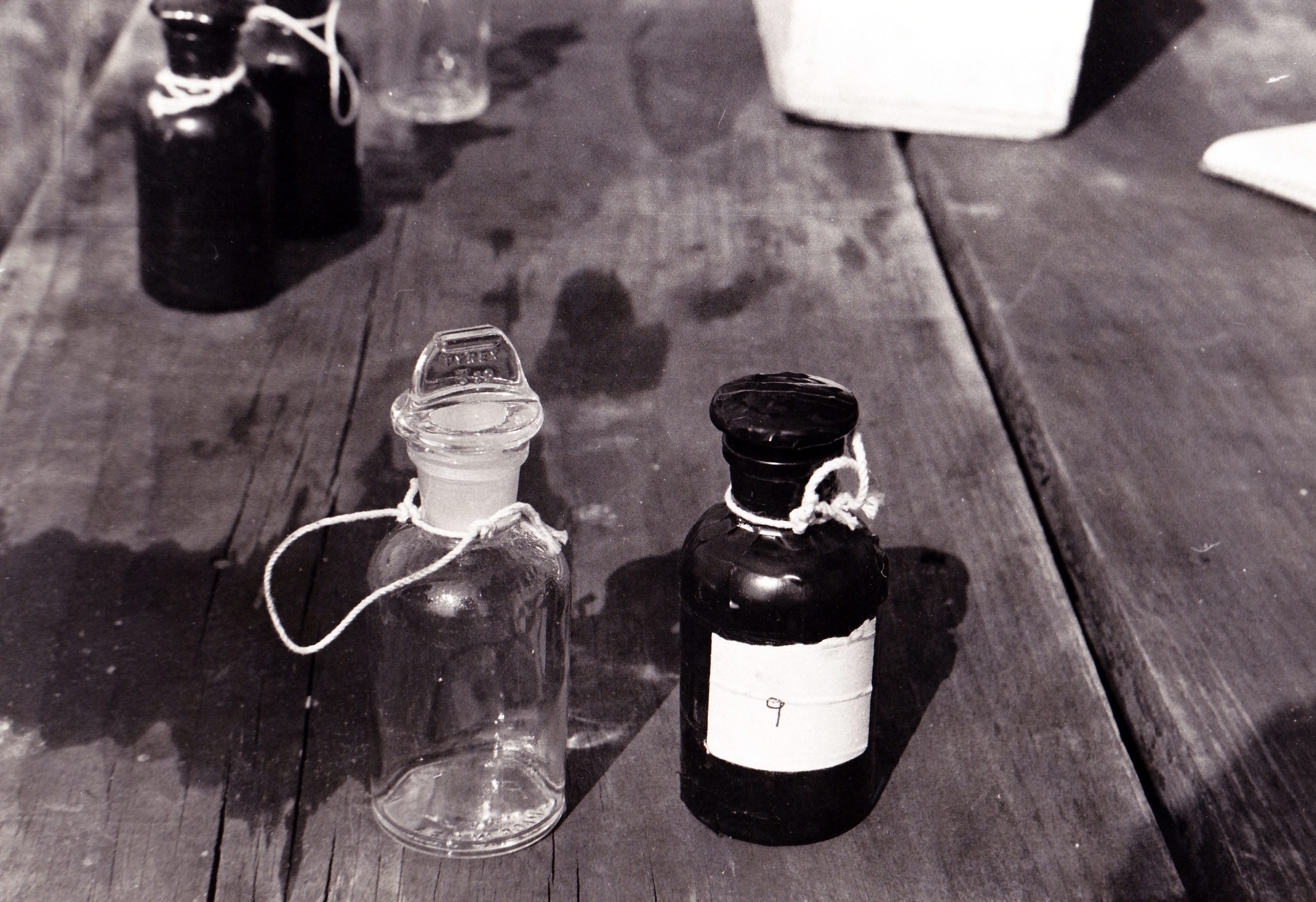 Black and clear bottles