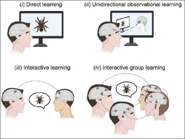 Figure 2,6.1: Four types of interpersonal social learning (from Pan et al., 2021, p. 5)