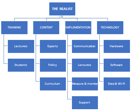 Figure 5.4: Realist: Themes and Subthemes