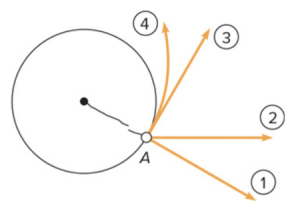 The circular path of the ball is shown along with 4 other lines. Image description is available.