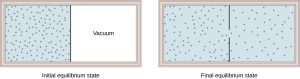 1- Gas is in half of the container. A partition separates the gas from vacuum. 2- gas is spread in all the container.