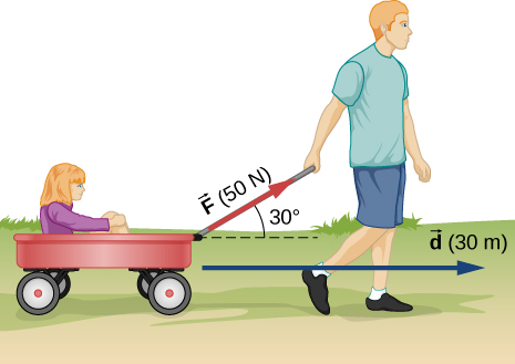 Boy pulling a wagon 30.0m with a 50.0N force at a 30.0° angle.
