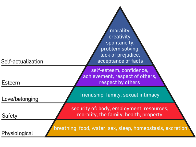 A triangle with physiological needs on the bottom, then safety, love/belonging, esteem, and self actualization at the top