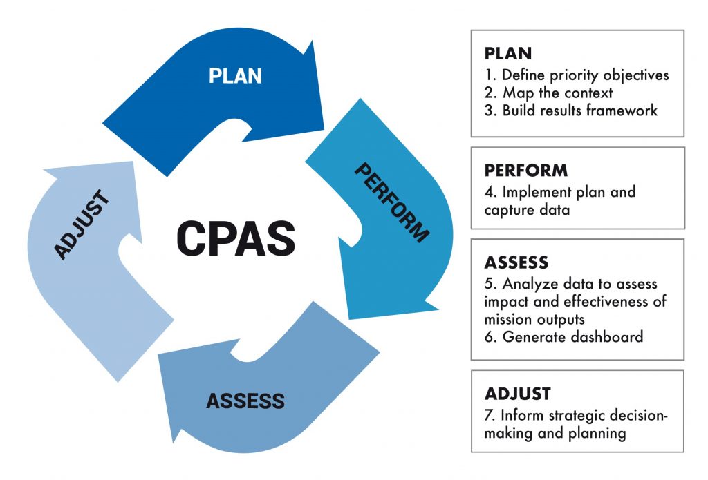 Figure 2.3 The Comprehensive Performance Assessment System
