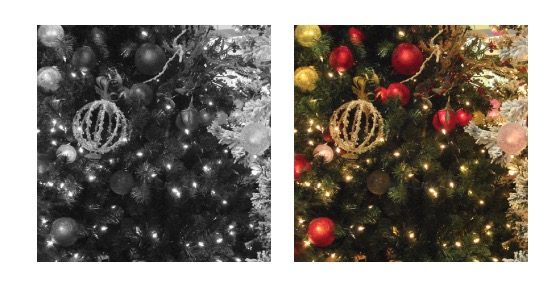 Two up close images of a Christmas tree, the left image in black and white and the right in full color