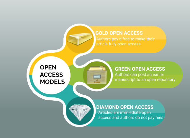 publication-models-and-process-navigating-the-research-lifecycle-for