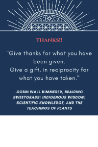 Image of bursting lights and quotation about gratitude from Robin Wall Kimmerer