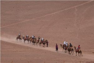 Traders traveling across the desert on camelback