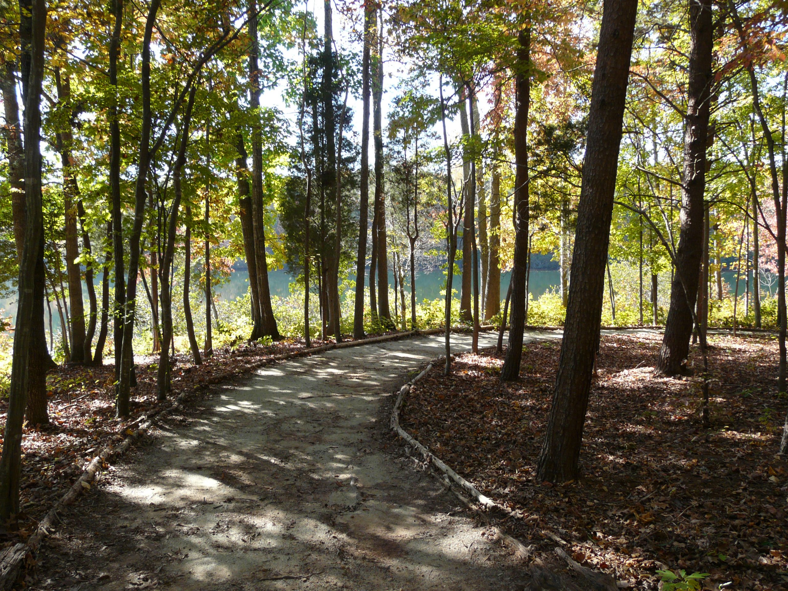 Forest Trail in Person County