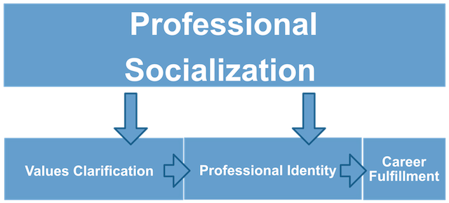 CH4 - PROFESSIONAL SOCIALIZATION