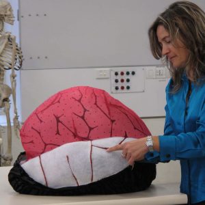 Dr Jasoni demonstrating the Burlesque Brain