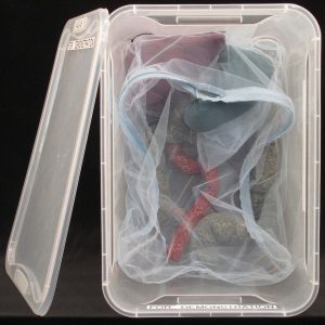 peritoneum in a box