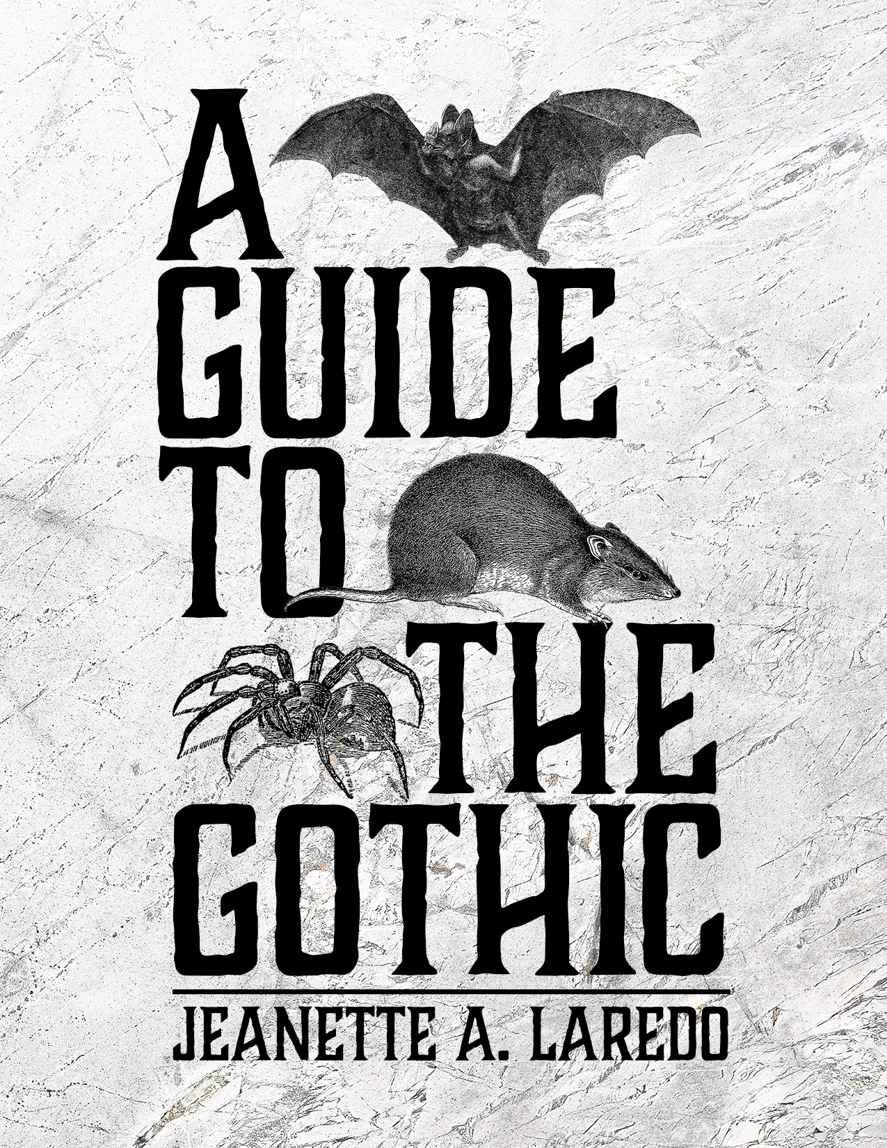 Cover image for A Guide to the Gothic