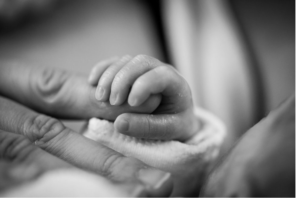 Image of an infant gripping a mother’s finger after birth (courtesy of Pixabay.com).