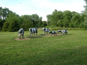 'Concrete Cows, Milton Keynes' by Stuart and Fiona Jackson (source: Wikimedia Commons)