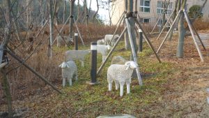 Metal sheep Sejong City