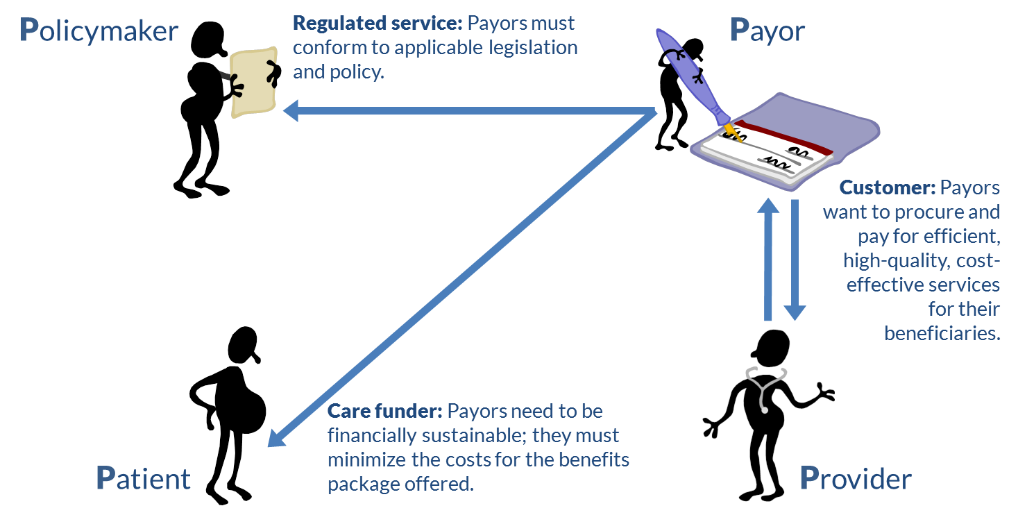 Figure 6. The payors' viewpoint