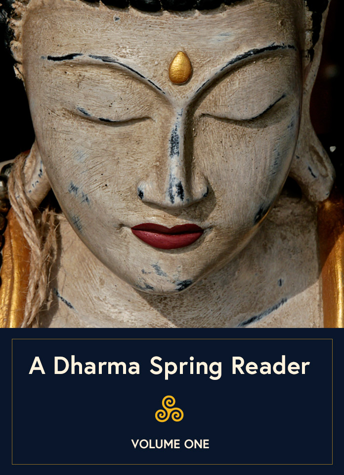 Cover image for A Dharma Spring Reader