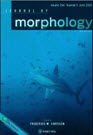 Journal of Morphology cover