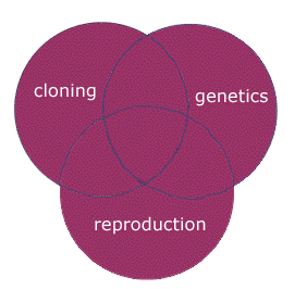 Example of search terms connected by the Boolean OR operator