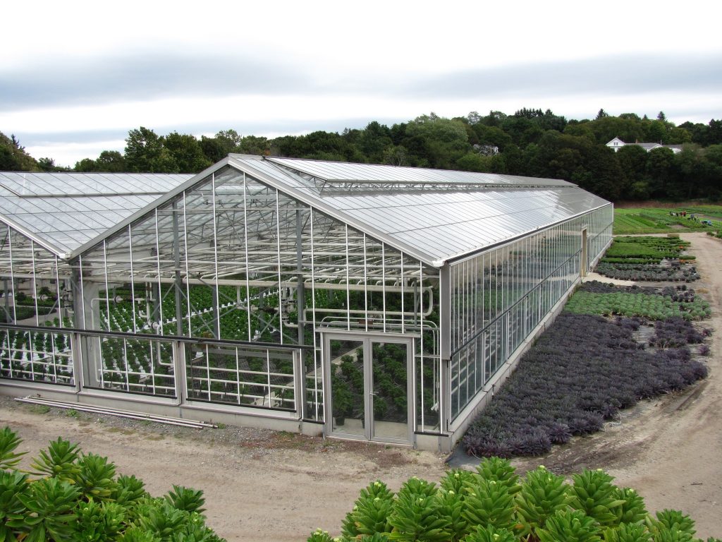 Greenhouse where plants are grown