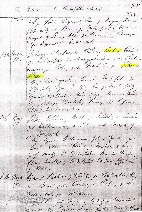 Church Record Scheeßel 1843, page 260, book V