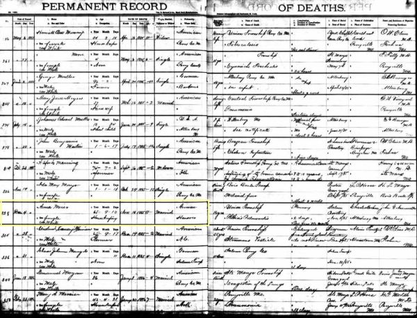 Anna Meier - Missouri, Death Record