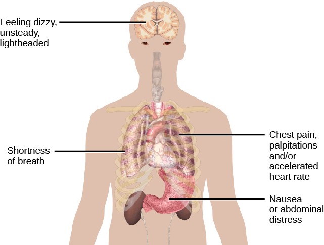 A diagram shows an outline of a person’s upper body. Within this outline, some of the major organs appear. The brain is labeled, “Feeling dizzy, unsteady, lightheaded.” The heart is labeled, “Chest pain, palpitations and/or accelerated heart rate.” The lungs are labeled, “Shortness of breath.” The stomach is labeled, “Nausea or abdominal distress.”