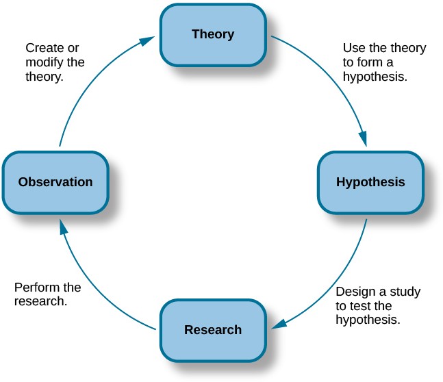 A diagram has four boxes: the top is labeled “theory,” the right is labeled “hypothesis,” the bottom is labeled “research,” and the left is labeled “observation.” Arrows flow in the direction from top to right to bottom to left and back to the top, clockwise. The top right arrow is labeled “use the hypothesis to form a theory,” the bottom right arrow is labeled “design a study to test the hypothesis,” the bottom left arrow is labeled “perform the research,” and the top left arrow is labeled “create or modify the theory.