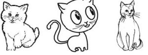 cats-1
