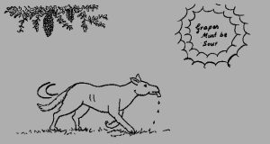fox-grapes
