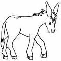 DONKEY SMALL
