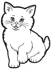 sto 2 cat