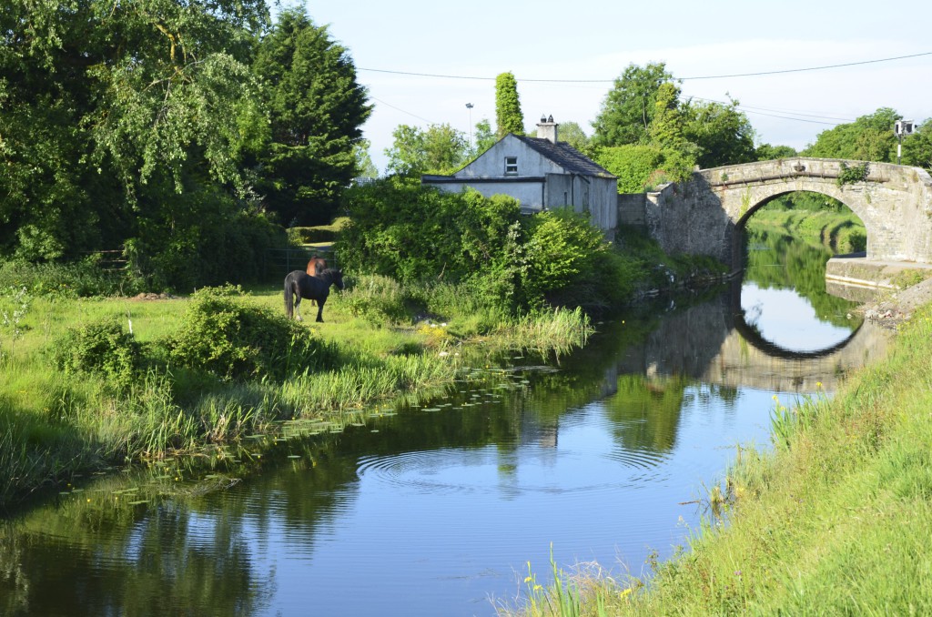 The Royal Canal. Photo: Fergal Flannery