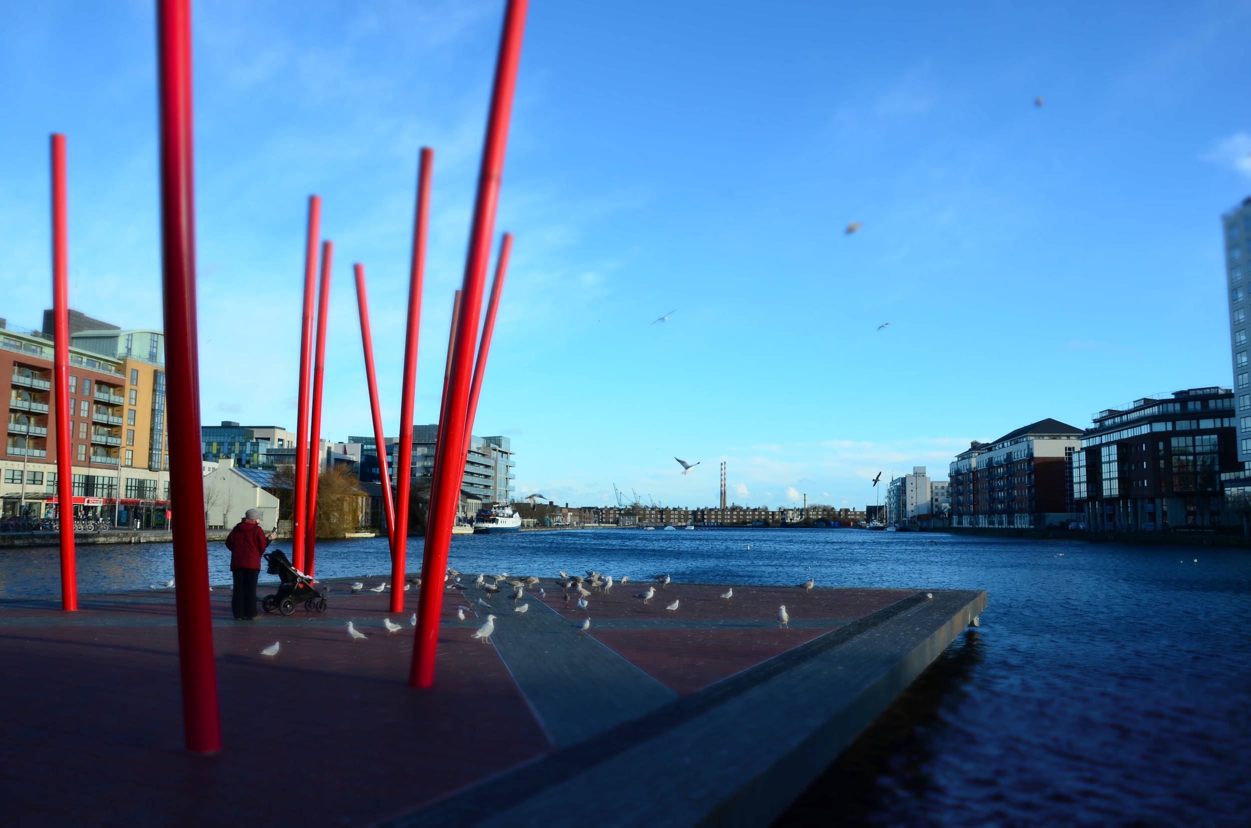 The Grand Canal Dock. Photo: Private