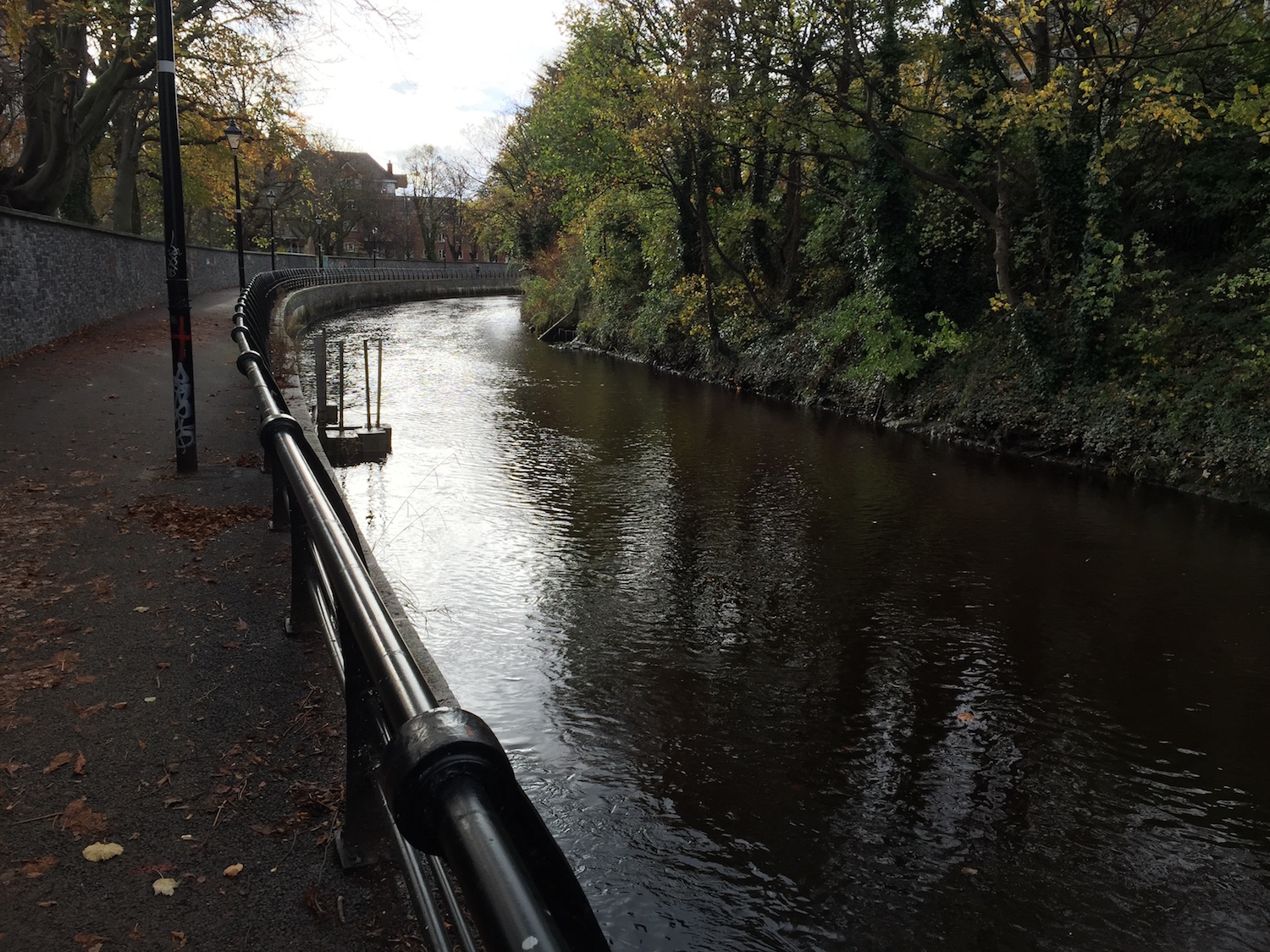 River Dodder