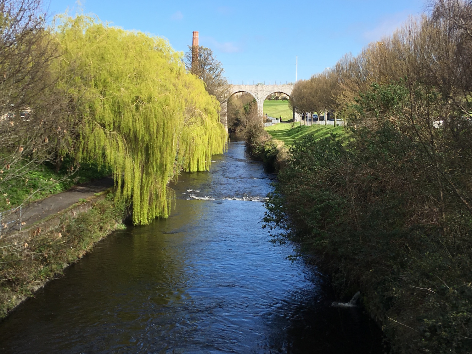 River Dodder near Milltown