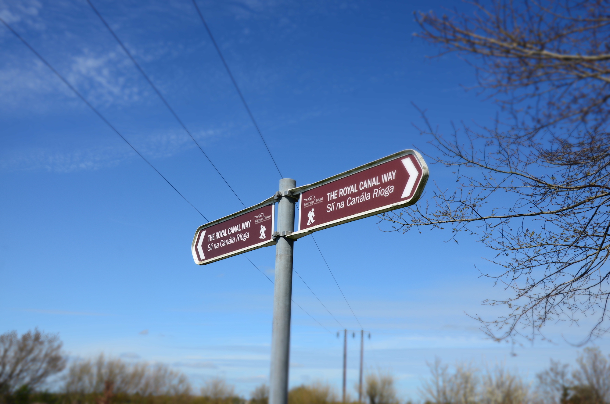 Information from Waterways Ireland at the Royal Canal. Photo: Fergal Flannery