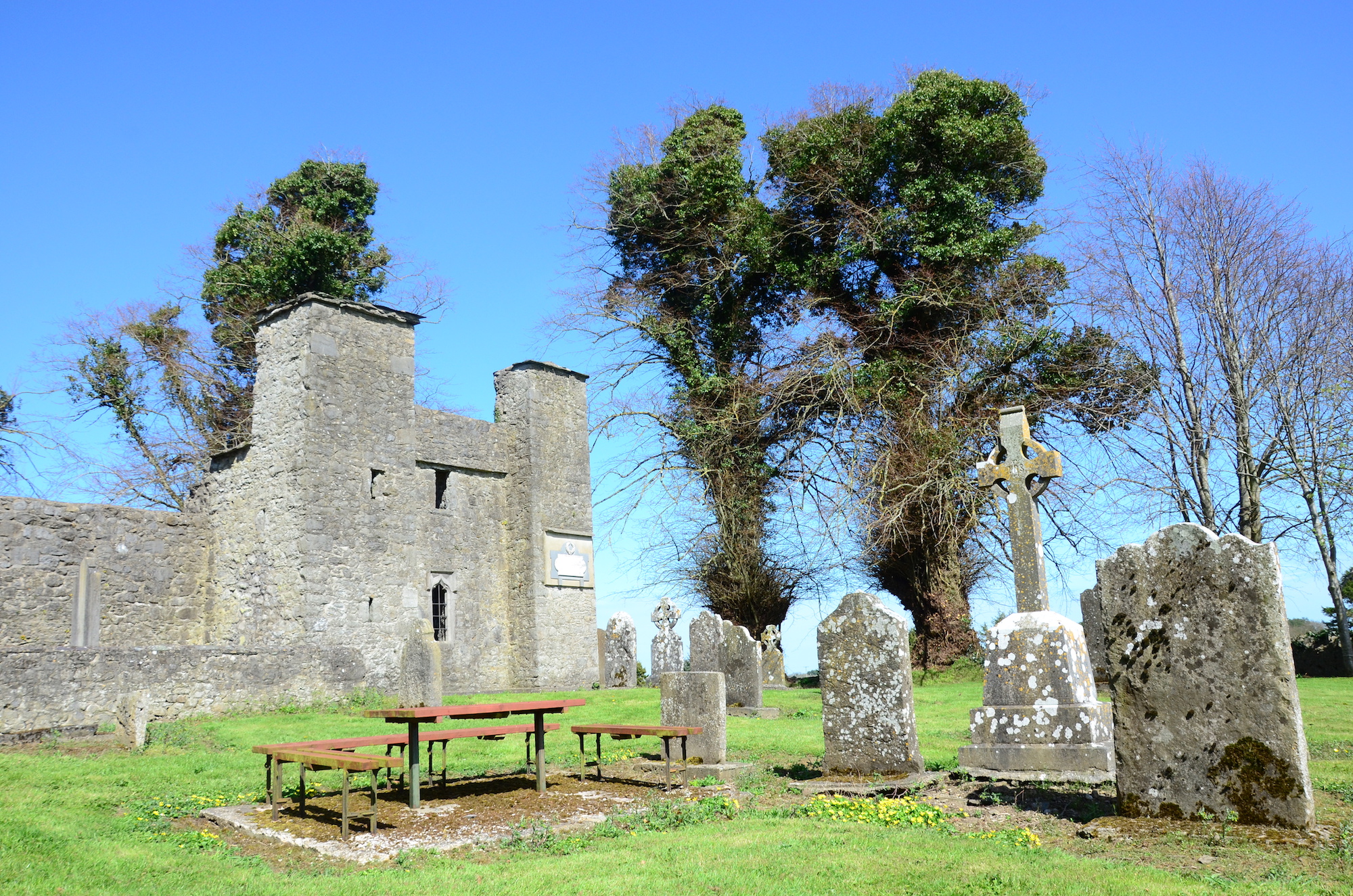 Ruined Church near Sallins. Photo: Fergal Flannery